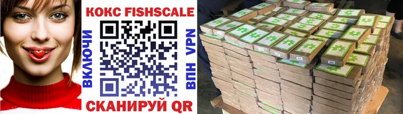 КОКАИН Fish Scale  купить  сайты  OMG как войти  Среднеуральск 