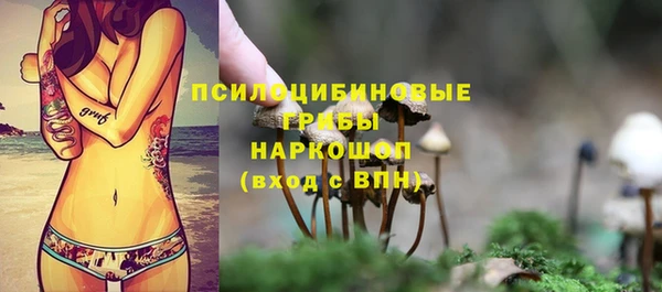дурь Армянск