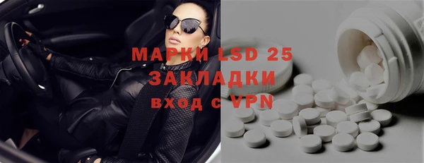 стафф Аркадак
