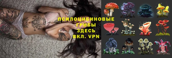 стафф Аркадак