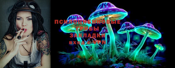 стафф Аркадак