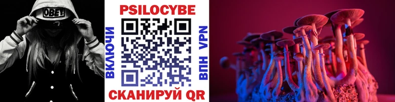 Псилоцибиновые грибы ЛСД  Среднеуральск 